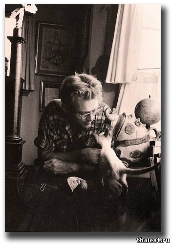 Джеймс Дин и его сиамский котенок Маркус