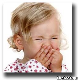 Аллергия на кошек: психосоматика