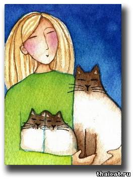 Как правильно разговаривать с кошкой