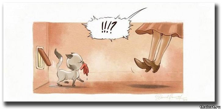 Комикс про кошку