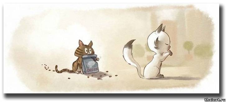Комикс про кошку