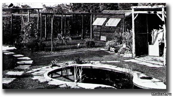 Питомник Греты Хиндли