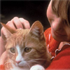 Мочекаменная болезнь - как защитить свою кошку от рецидива? Как свести риск к минимуму?