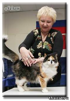 эксперт Ольга Боэм