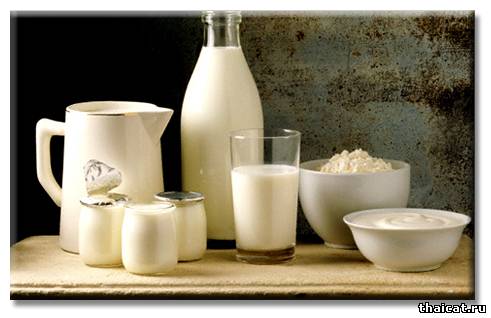 Нетрадиционное лечение поноса у кошек