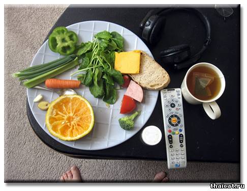 Сиамский кот Бежик - Шаман, или победа разума над сарсапариллой