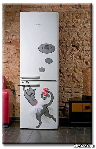 Смешные наклейки с кошками