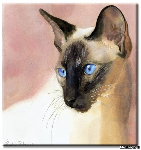 Рейчел Паркер. Сиамские кошки