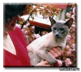 Большой Чемпион Иррем Смарт Алек (Eirrem Smart Alec)