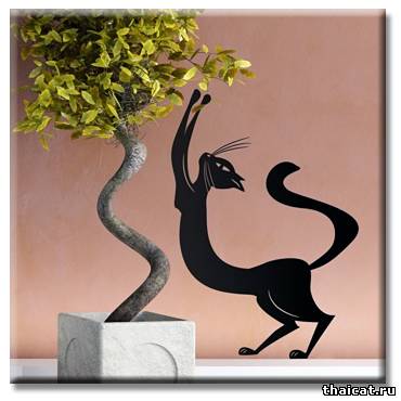 Смешные наклейки с кошками