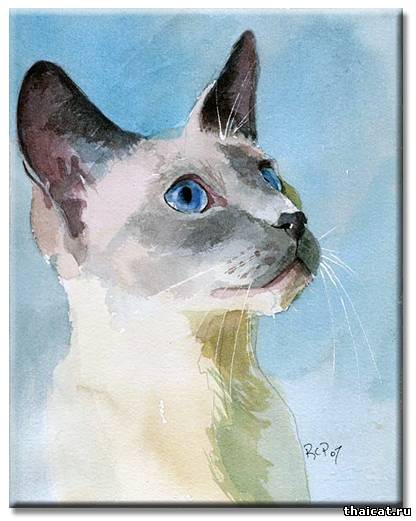 Рейчел Паркер. Сиамские кошки