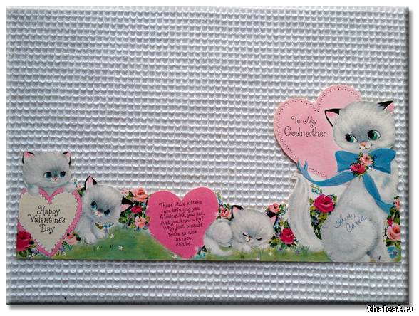 Винтажные открытки с кошками на Валентинов День