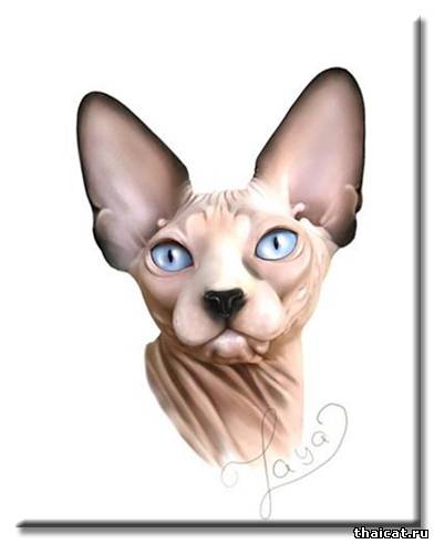 Лаянна рисует кошек