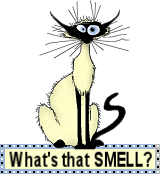 Почему кошка пахнет и что с этим делать?