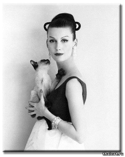 Топ-модель Мери Джейн Рассел и сиамские кошки