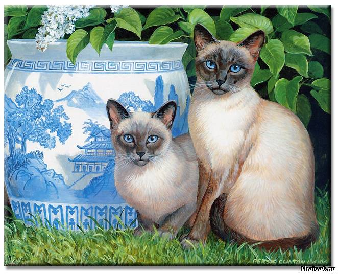 Тайские котята на картинах Персис Клейтон Вейрс