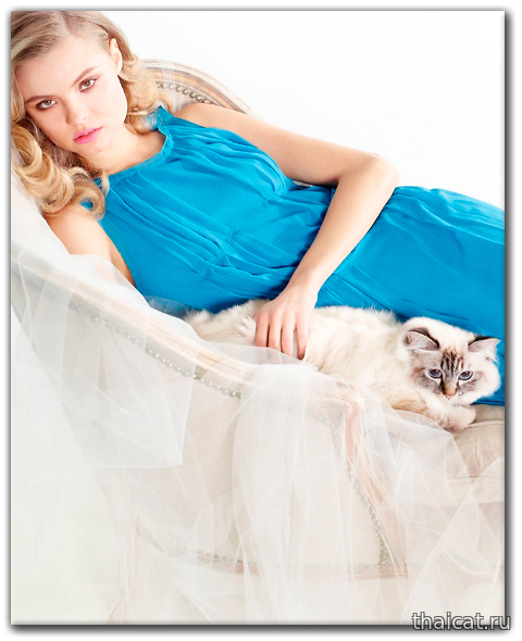 Магдалена Фраковяк с кошкой