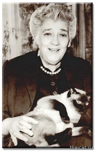 Популярность сиамских и тайских кошек в СССР и России