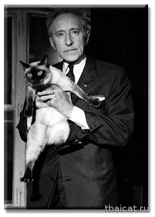 Французский писатель Жан Кокто и сиамская кошка