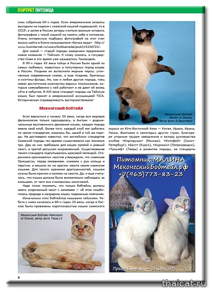 Сиамские и тайские кошки, меконг-бобтейлы Сиамские и тайские кошки, меконг-бобтейлы