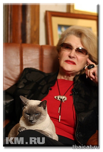 Популярность сиамских и тайских кошек в СССР и России