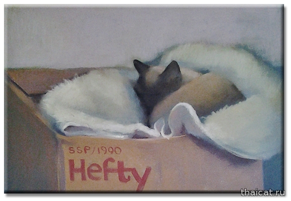 Сара Сью Пеннелл и ее сиамские кошки