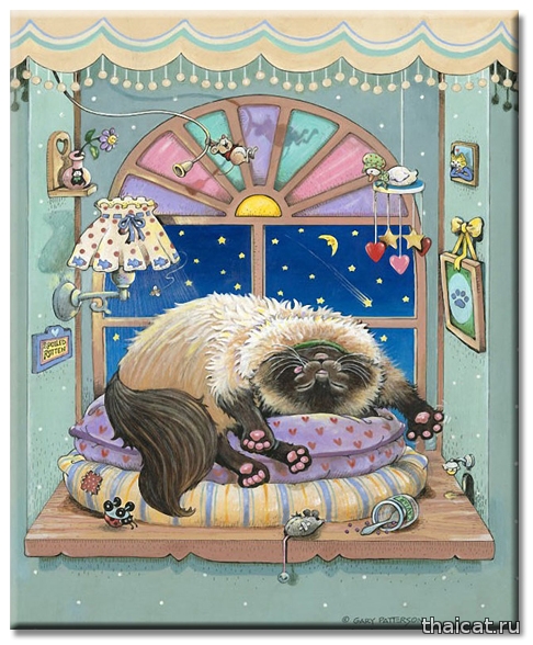 Гарри Паттерсон: веселые рисунки сиамских кошек