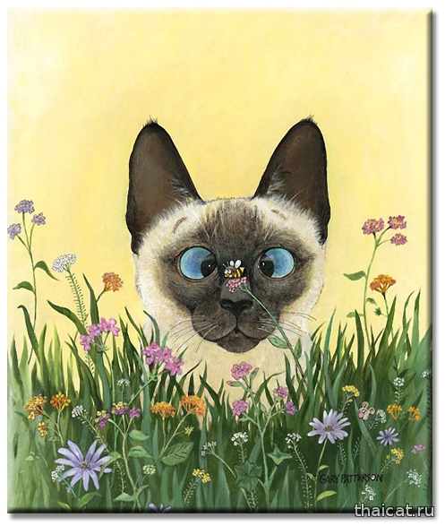 Гарри Паттерсон: веселые рисунки сиамских кошек