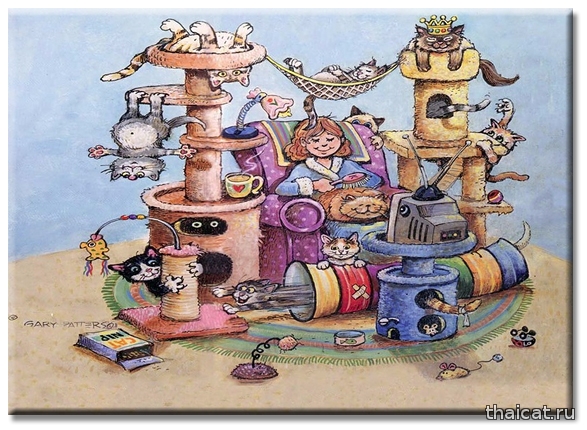 Гарри Паттерсон: веселые рисунки сиамских кошек