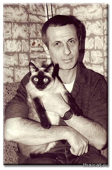 Популярность сиамских и тайских кошек в СССР и России