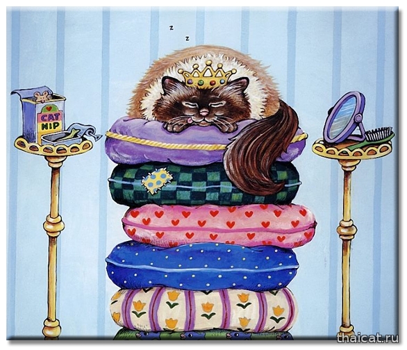 Гарри Паттерсон: веселые рисунки сиамских кошек