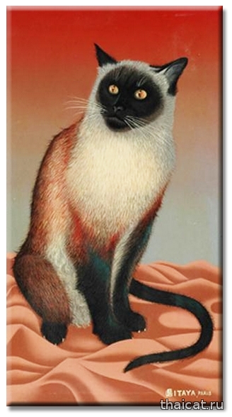 сиамская кошка кусается