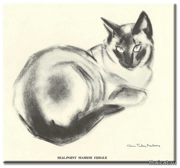 Клер Терлей Ньюберри и ее сиамские кошки