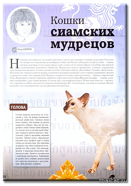 Сиамские кошки. Журнал Мой друг кошка №12-2012