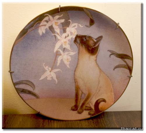 Винтажные декоративные тарелки с сиамскими кошками