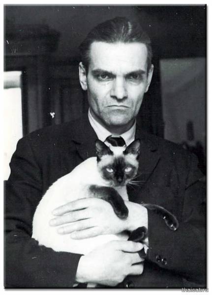 Популярность сиамских и тайских кошек в СССР и России