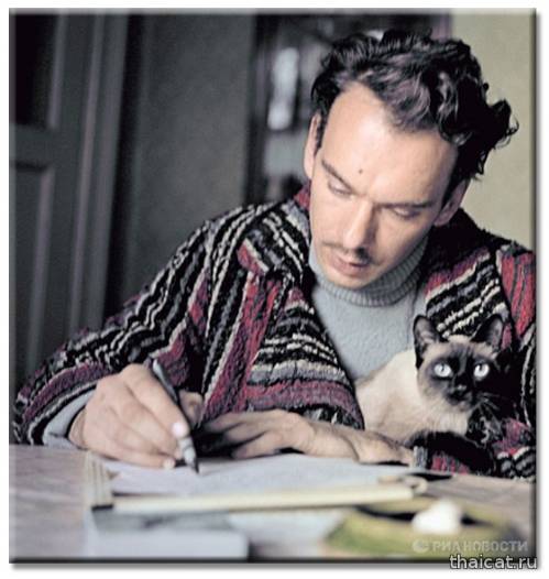 Популярность сиамских и тайских кошек в СССР и России