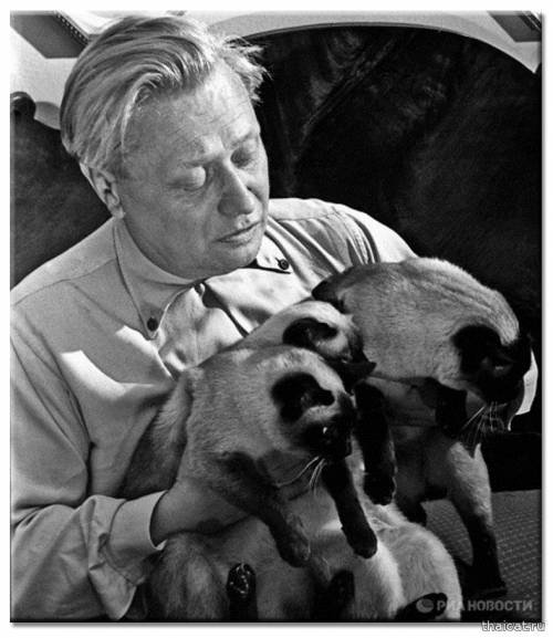 Популярность сиамских и тайских кошек в СССР и России