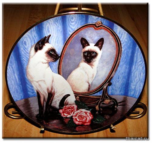 Винтажные декоративные тарелки с сиамскими кошками