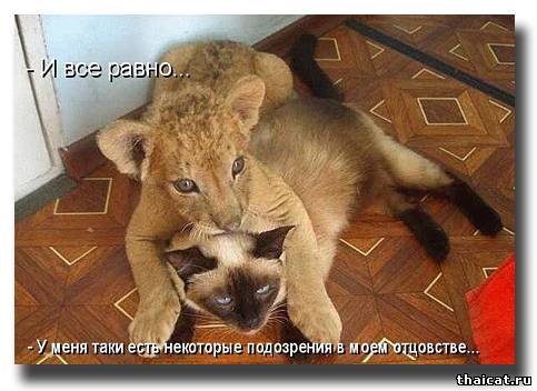 И все равно... У меня таки есть некоторые подозрения в моем отцовстве...