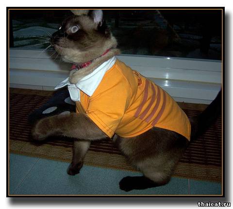 Ребята, возьмите меня на вечеринку с собой, а?