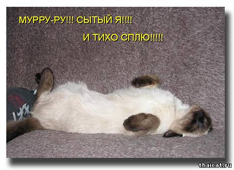 Мурру-ру! Сытый я!!! И тихо сплю!!!!!