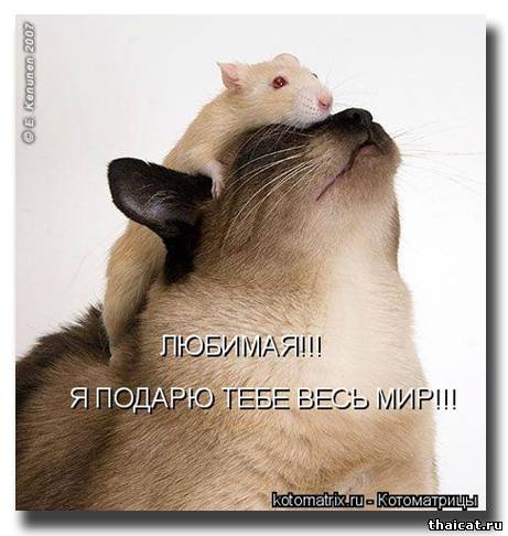 Любимая, я подарю тебе весь мир!