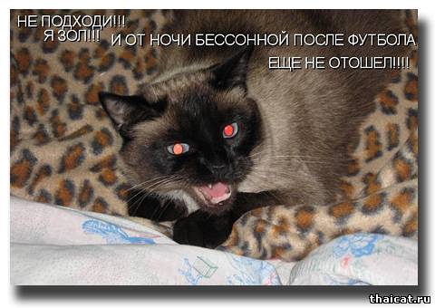 Не подходи!!! Я зол!!!
