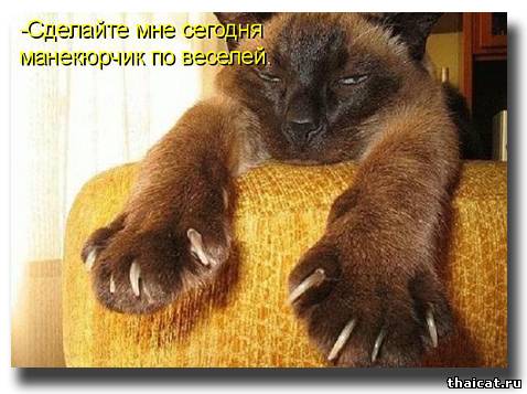 Сделайте мне сегодня манекюрчик повеселей!