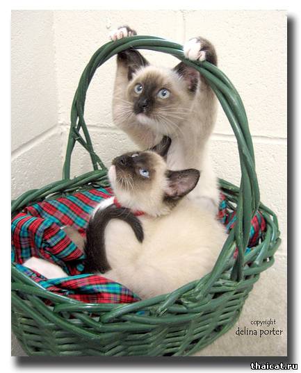 Удобная корзинка