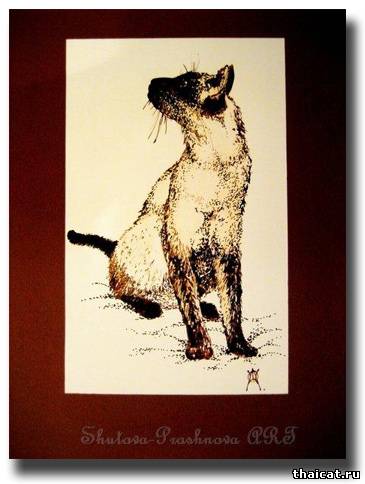 тайские кошки в живописи