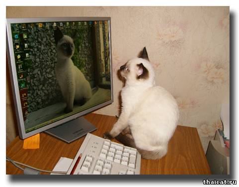 Любуюсь собой любимой!