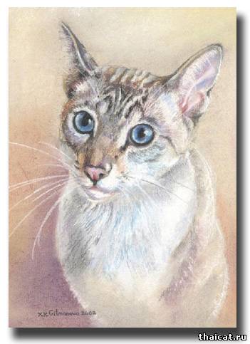 тайские кошки в живописи