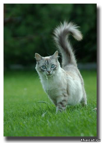 Прогулка - это свобода!